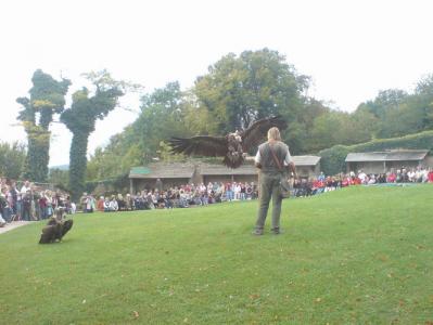 Klick für Originalgröße :ausflug15.jpg