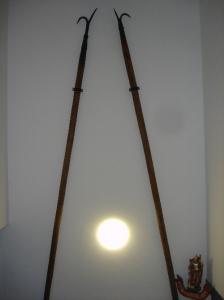 Klick für Originalgröße :431_DSC09568.JPG