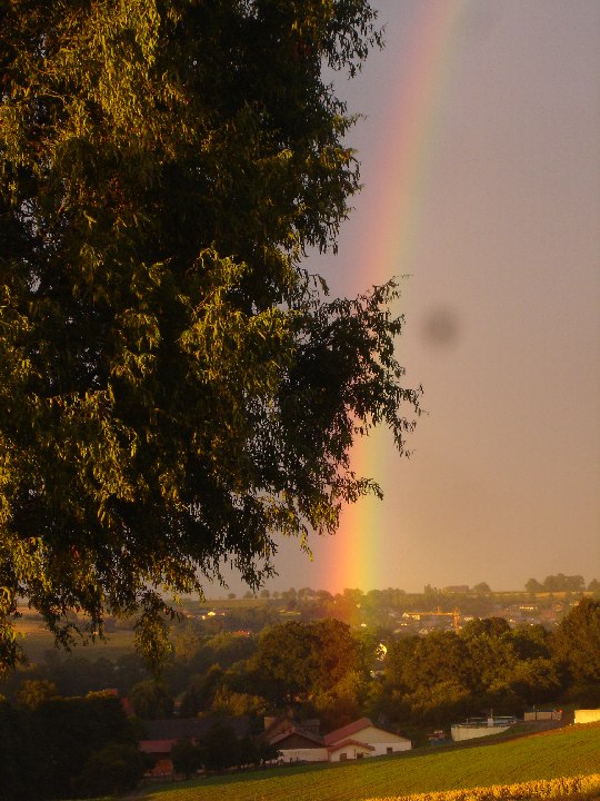 Schliessen von 041_DSC09926.JPG